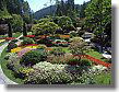 The Butchart Gardens with beautiful flowers.