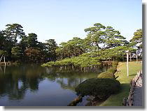 Karasaki Pine Tree: This black pine was planted by the 13th lord Nariyasu, with a seed brought from one of the most scenic shore spots of Lake Biwa. The tree has the most beautiful sprawling branches in Kenroku-en. It is especially beautiful in winter when supported by umbrella-like ropes to protect the branches from breaking with heavy snow, which scenery cannot be seen in other gardens.