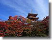 Autumn color from the Kiyomizu stage is rather open tint and the main temple surrounded with autumn leaves appears to be seen different scenery.